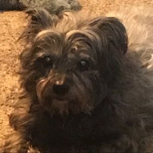 Meet your Posher, Mallorie